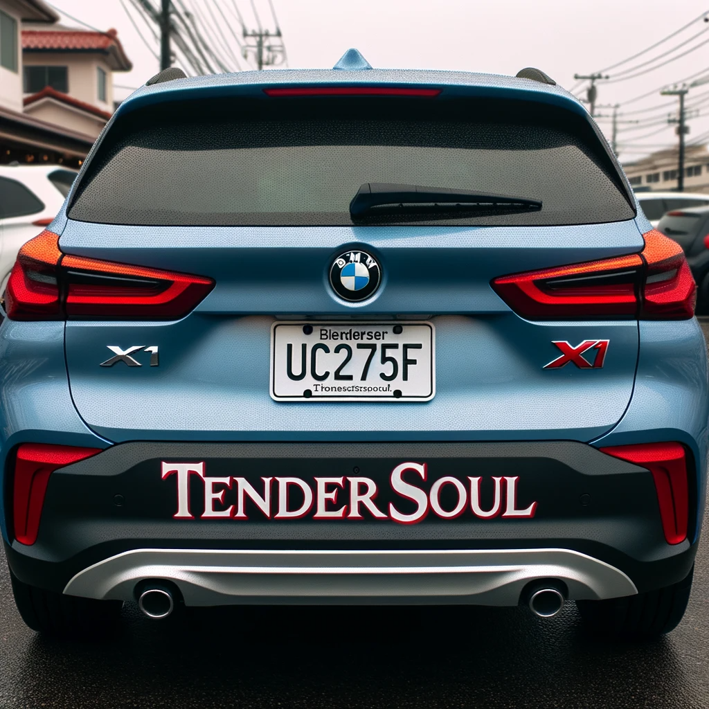 BMW X1 with TENDERSOUL